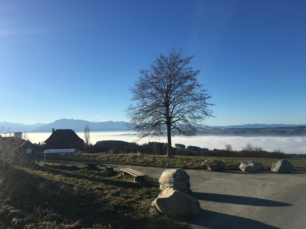 Bed And Breakfast Oase Im Seetal Gelfingen Exterior foto